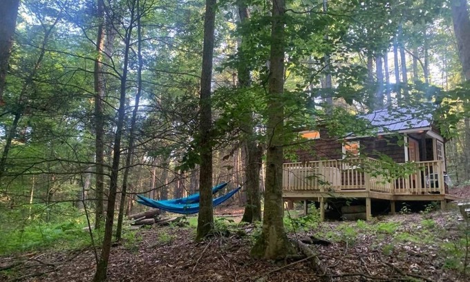 Suches Cabaña | Chanterelle Tiny House