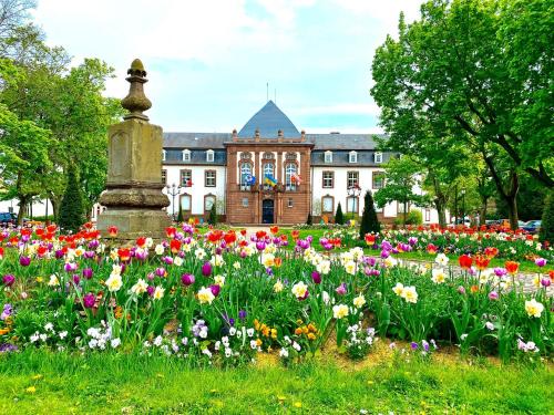 Haguenau Apartamento | Charmant studio à Haguenau, à 25mn de Strasbourg
