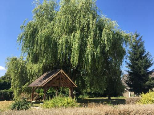 Saint-Pierre-le-Moutier Apartamento | Charmant T2 RDC dans résidence avec parc arboré