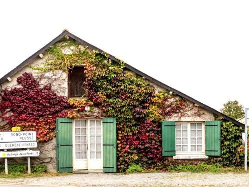 Le Gavre Casa | Charmante Maison Familiale à la Campagne, Proche Forêt, avec Wifi, Ping-Pong et Panier de Basket - FR-1-306-1152