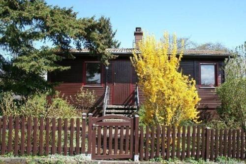 Laubach Casa | Charmantes Ferienhaus in Lauter mit Großem Garten
