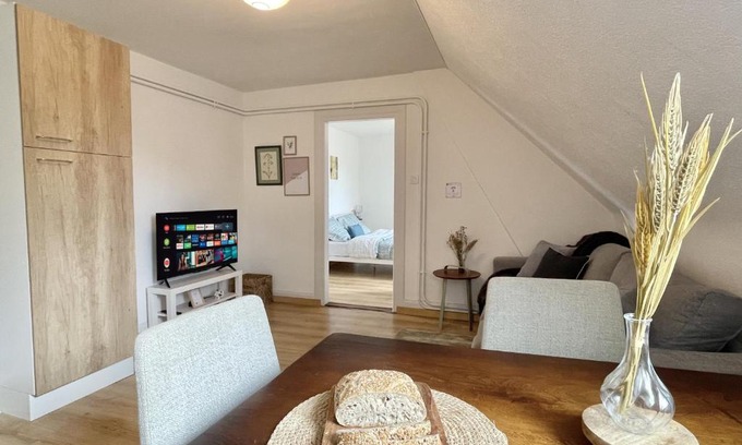 Mulhouse Apartamento | CHARME D'ANTAN, proche gare Dornach
