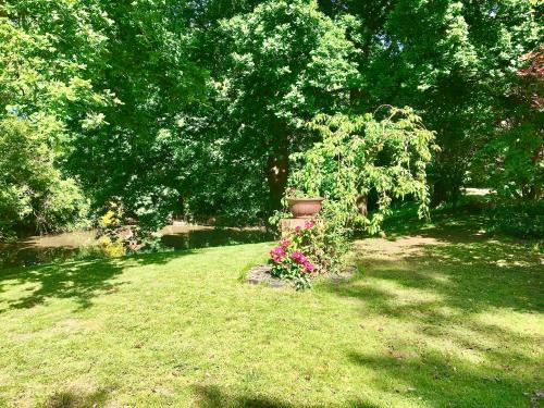 Hailsham Apartamento | Charming 1-Bedroom Apartment near South Downs