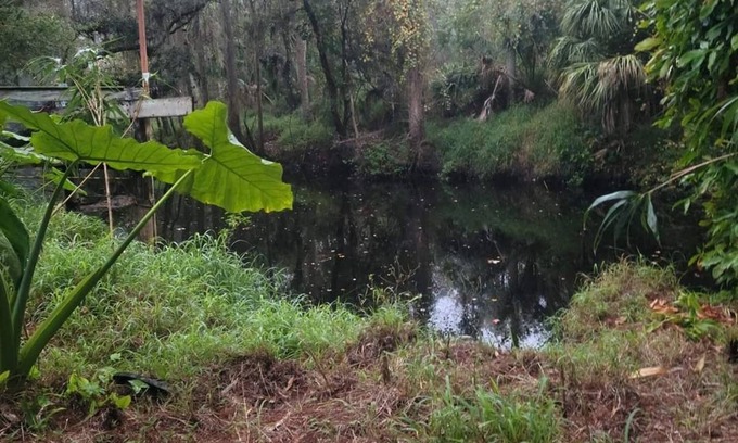 Anclote River Acres Casa | Charming 2-bedroom hunker bunker. great wildlife