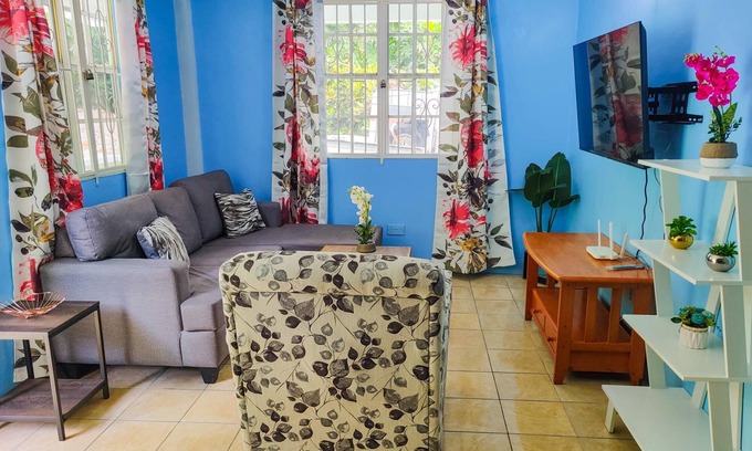 Roseau Casa | Charming 2-bedroom Apartment with WiFi and AC in Upper, Bath Estate.