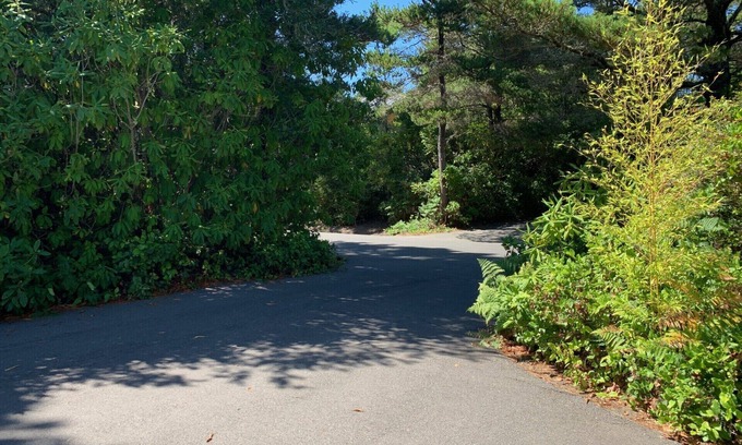 Florence Cabaña | Charming 2-bedroom cottage near Heceta Beach