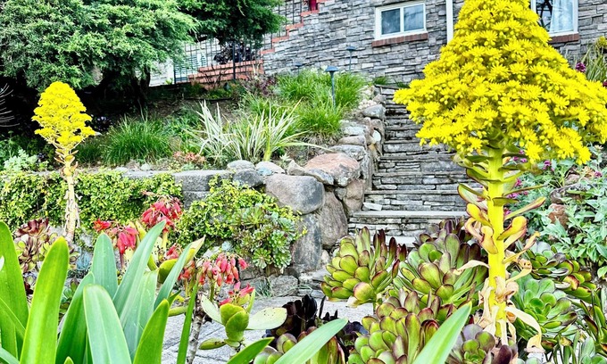 Martinez Casa | Charming 3-bedroom house in Martinez with fast WiFi and Beautiful backyard