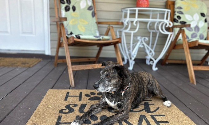 Natchez Casa | Charming 3-bedroom, pet friendly house in Downtown Natchez