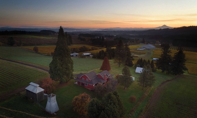 Sherwood Otro | Charming 5-bedroom farmhouse surrounded by vines in Sherwood.
