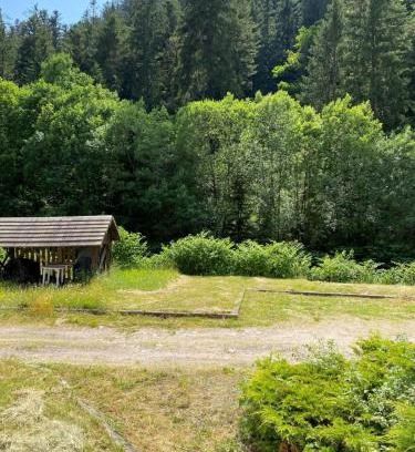 Gerardmer Apartamento | Charming 55m near hiking trails