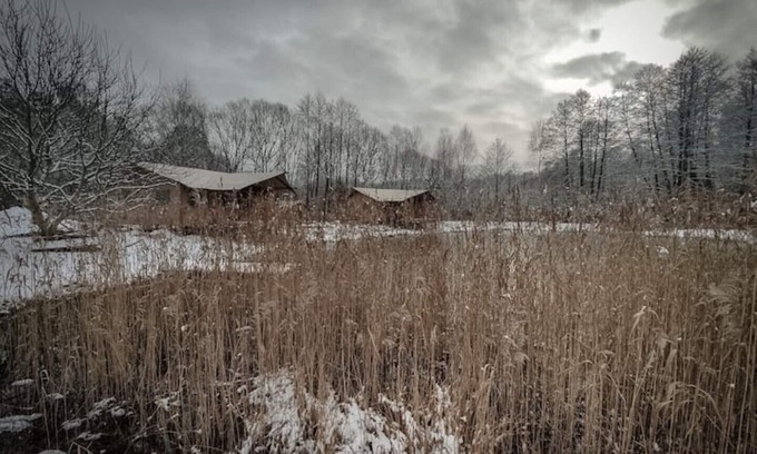Lubusz Province Chalet De Esquí | Charming . A Cottage in the Middle of the Woods