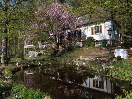 Weissenbrunn Apartamento | Charming Apartment in Weißenbrunn near Forest