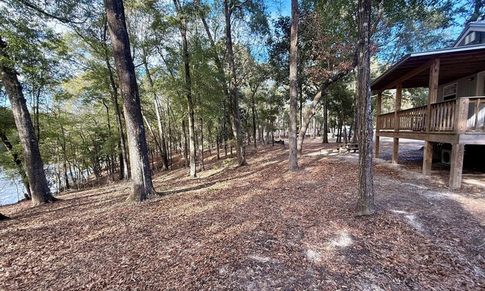 Andalusia Cabina | Charming cabin nestled in the woods in Andalusia, AL
