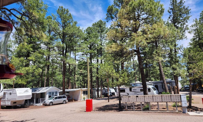 Show Low Cabina | Charming cabin with WiFi and AC in delightful Show Low