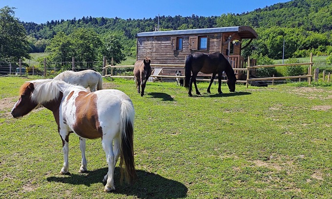 Hermitage-Tournonais-Herbasse-Pays de Saint-Felicien Cabina | Charming caravan in the Ardéchoise hills
