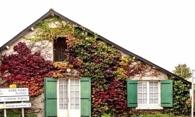 Le Gavre Cabaña | Casa acogedora en el campo con jardín, Wifi y actividades cerca del bosque