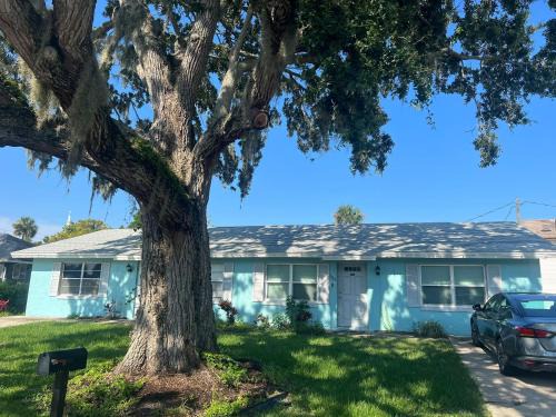 Port Orange Apartamento | Charming & Cozy