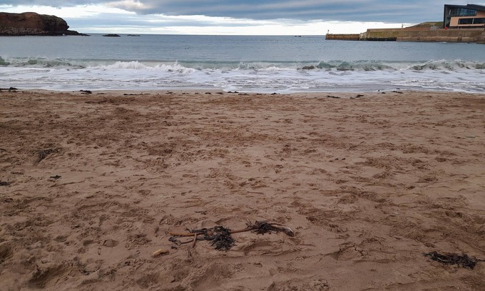 Eyemouth Apartamento | Charming Eyemouth apartment close the beach