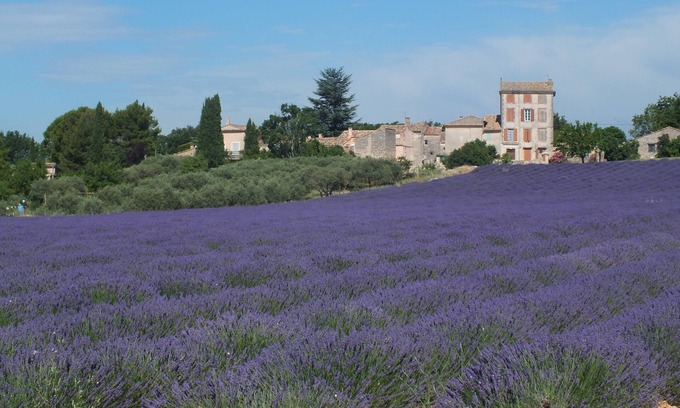 Pont Royal Cabaña | CASA CON ENCANTO EN PROVENCE ENTRE Ventoux y Luberon CASA INDEPENDIENTE
