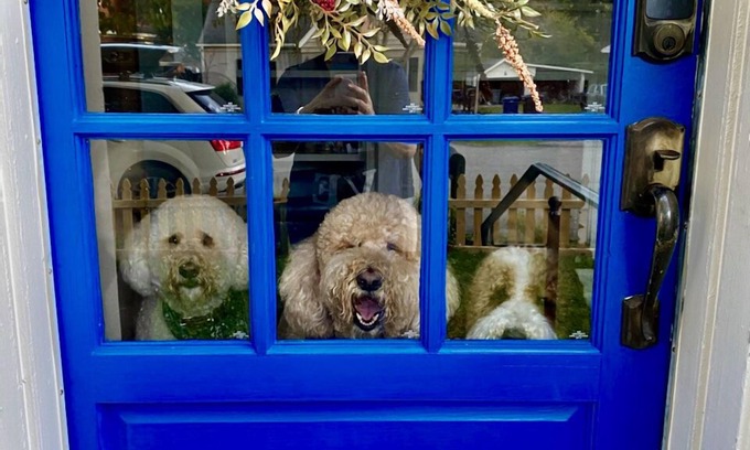 Franklin Cabaña | Casa limpia y acogedora en el barrio histórico. Patio cercado para mascotas!