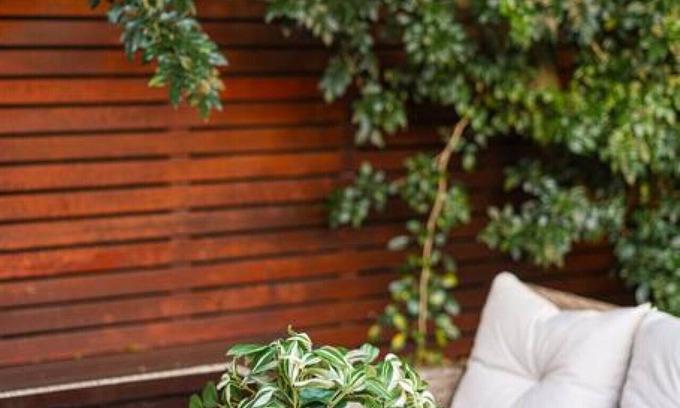 Leichhardt Casa | Charming house in Leichhardt