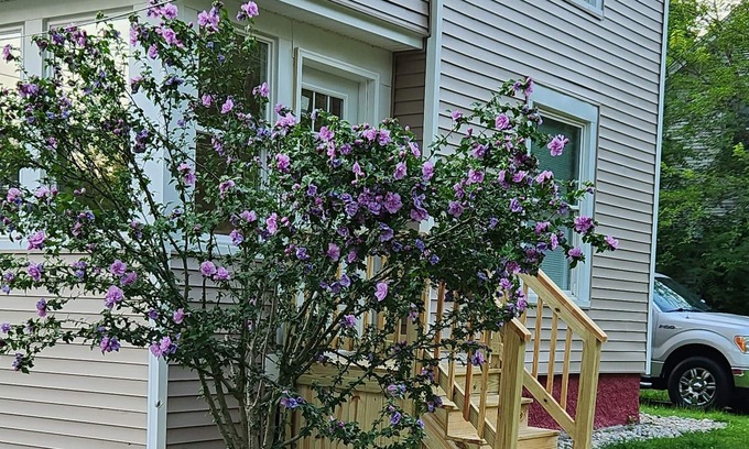 Albion Casa | Charming in Albion, MI