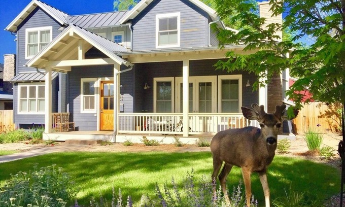 Newlands Apartamento | Charming Private Guest Suite located near downtown, shopping and hiking