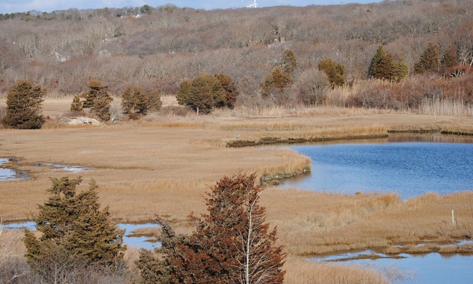 Falmouth Cabaña | Sea Side encantador Cape Cod Cottage
