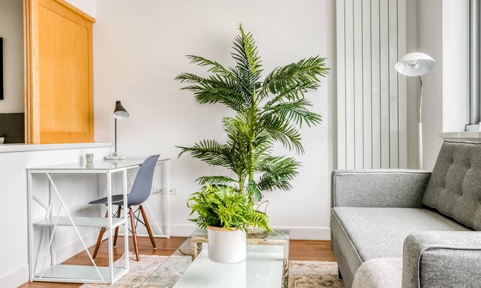 Mid-Market Apartamento | Charming Studio in SoMa, near BART + Top Tech HQs