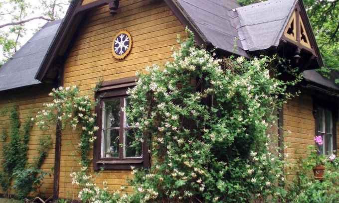Drottningholm Cabina | Charming Swiss Retreat with Garden, 3 minutes from the lake