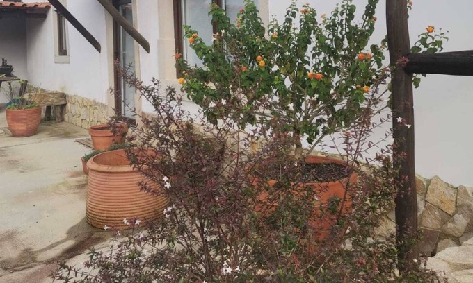 Leiria Casa | Charming T1 Mãe d'água, 2 km from Óbidos