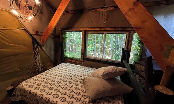 Braintree Cabina | Charming TREEHOUSE in remote location