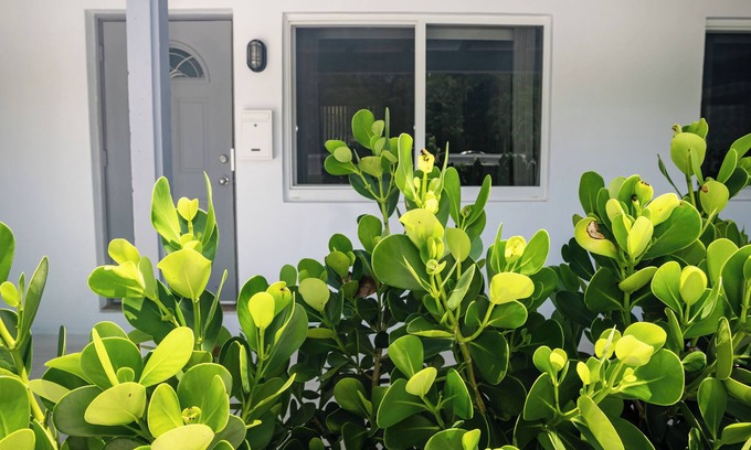 Parkside Apartamento | Charming tropical oasis in Hollywood
