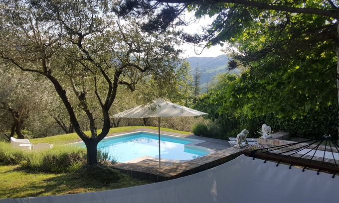 Voltre Casa | Encantadora casa de vacaciones con piscina, solárium y olivar