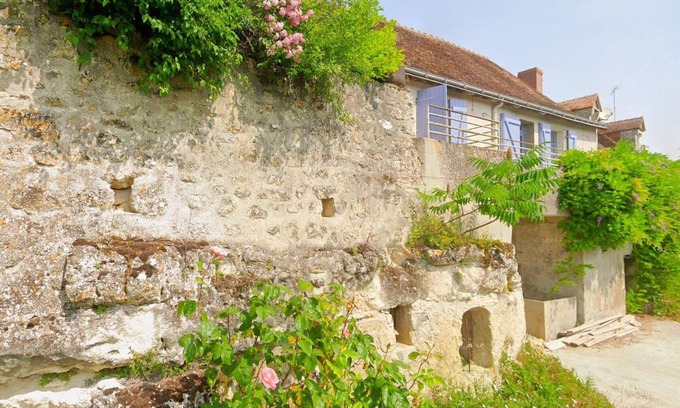 Ferriere-Larcon Cabaña | Gîte confort en Touraine : jardin, terrasse, animaux acceptés, parking sécurisé, WiFi inclus