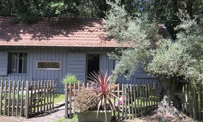 Biganos Cabaña | Charming wooden house*** typical of the Basin in the heart of the forest with bicycles