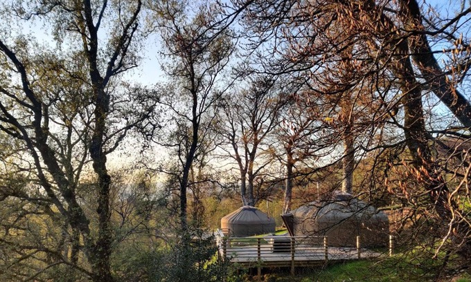 Largs Cabina | Charming Yurt in Kelburn Estate near Largs