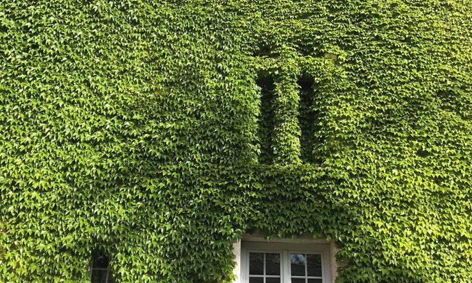 Artigues Casa | Chateau d Artigues
