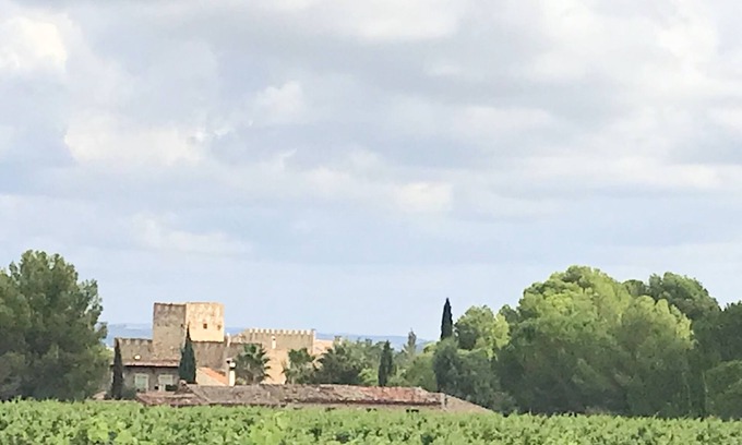 Cazouls-les-Beziers Casa | Chateau with swimming pool for 14 people in the middle of the vineyards