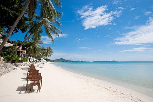 Chaweng City Center Casa | Chaweng Town Hotel