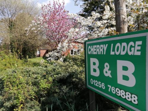 Hook Casa | Cherry Lodge