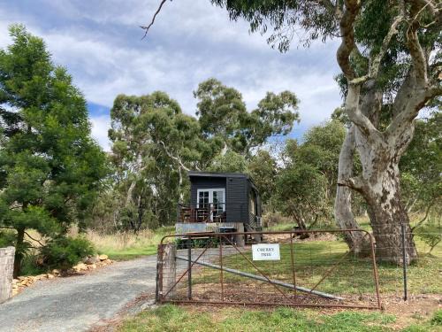 Mount Fairy Apartamento | Cherry Tree - Merigan Farm Stay