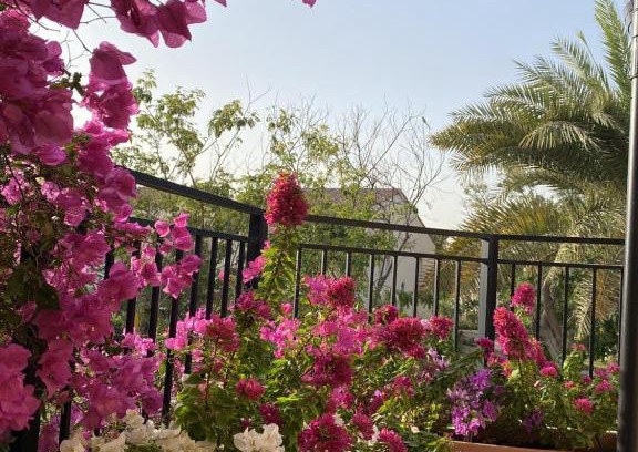 Dubai Investment Park Cama Y Desayuno | Cherrywood House