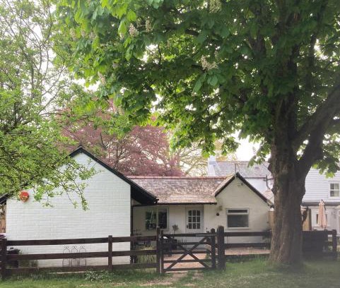 New Forest District Casa | Chestnut Cottage New Forest