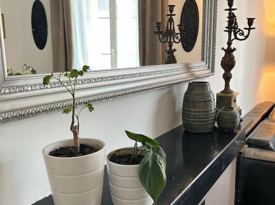 Cosne-Cours-sur-Loire Apartamento | Chez La Vieille Dame