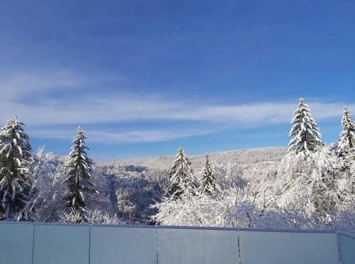 Morez Casa | Chez Lily et Bruno