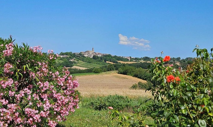 Salvagnac Casa | Chez Magali, a relaxing natural setting with swimming pool