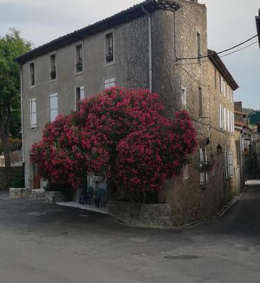 Lagrasse Casa | Chez Shona