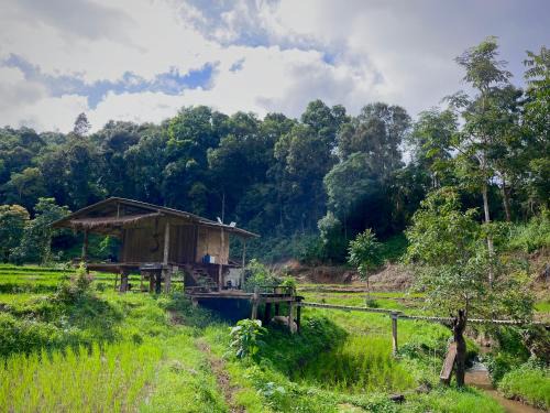 Samoeng Casa | Chibacall ชิบะคอล Karen Mountains Hideaway Homestay