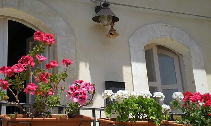 Modica Casa | Chicchi di Melograno